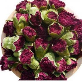 野生康乃馨花正宗康乃馨