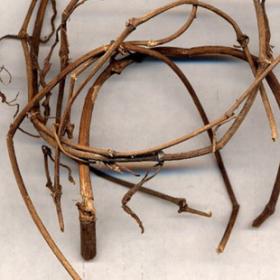 海风藤根海风田大风藤