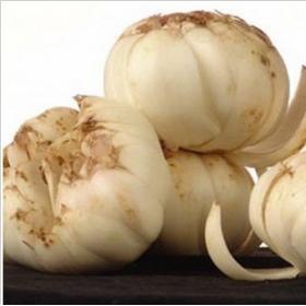 鲜百合纯野生新鲜百合