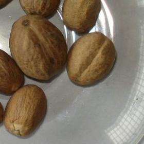 肉豆蔻肉果顶头肉玉果