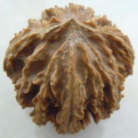 文玩核桃精选货矮桩灯笼