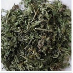 芙蓉叶干地芙蓉山芙蓉