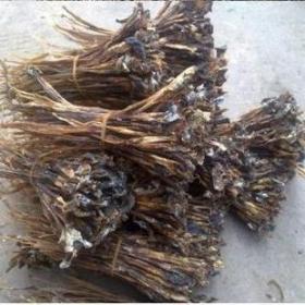 蛇鞭干精选蛇鞭眼镜蛇鞭