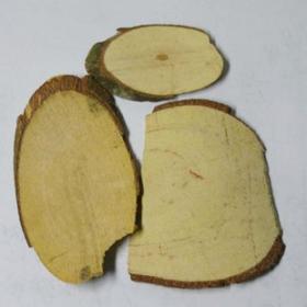 正宗三叉苦野生三叉苦