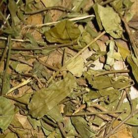 武靴藤干精选优质藤本