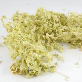 精选竹茹竹皮丝条淡竹茹