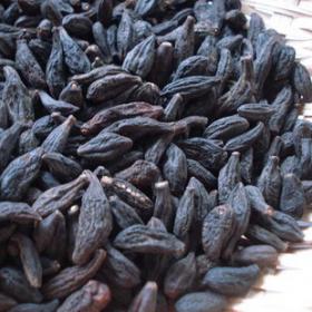 藏青果西藏精选藏青果