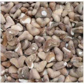 微山湖菱角米野生菱角米