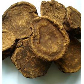 大黄君木札唐古特大黄