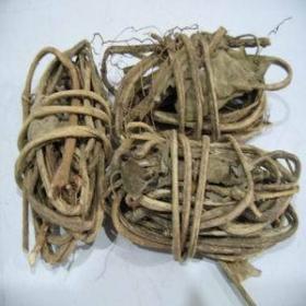 野生臭屁藤干正宗通气藤