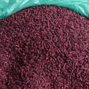 红曲紫曲酶农家红曲米