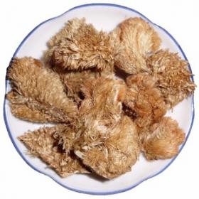 鸡冠花正宗白鸡冠花