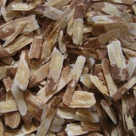 优质正品观音茶接骨木