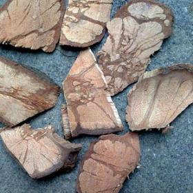 龙须藤野生九龙羊蹄藤