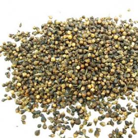 正宗高品质水榕水雍花