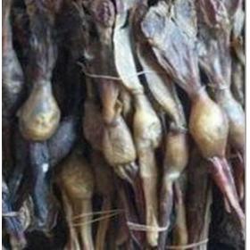 精选超大狗肾干狼狗鞭干