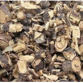 金雀根土黄芪阳雀花根