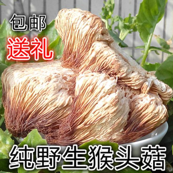 猴头菇干东北猴头菇天然猴头菇