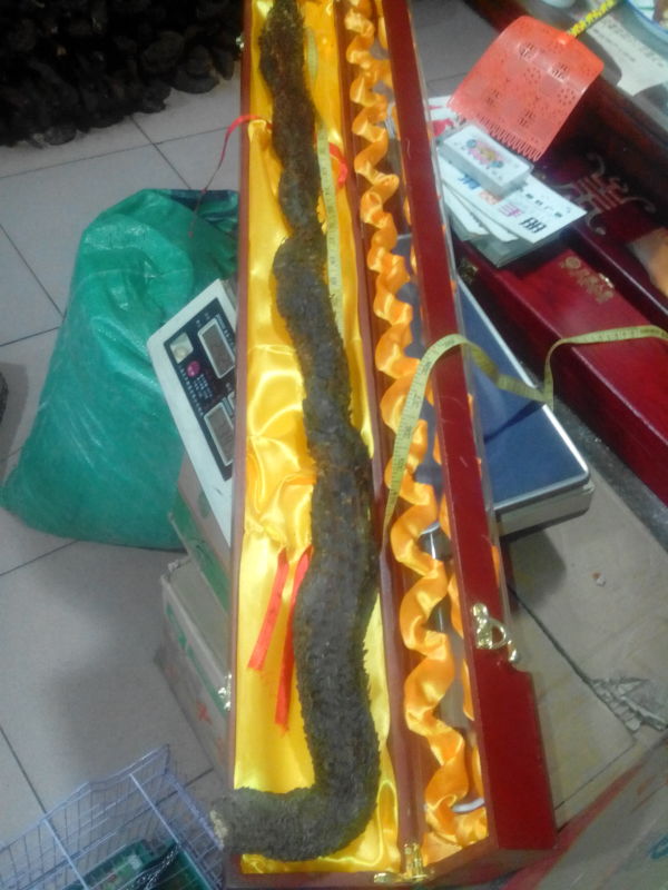 阿拉善肉苁蓉礼盒一米长苁蓉