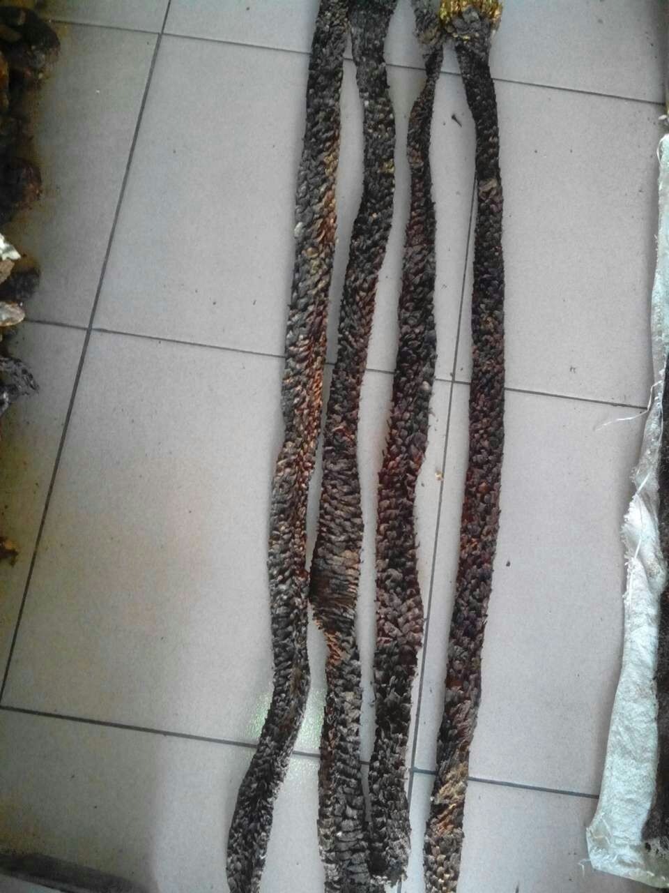 阿拉善肉苁蓉礼盒一米长苁蓉