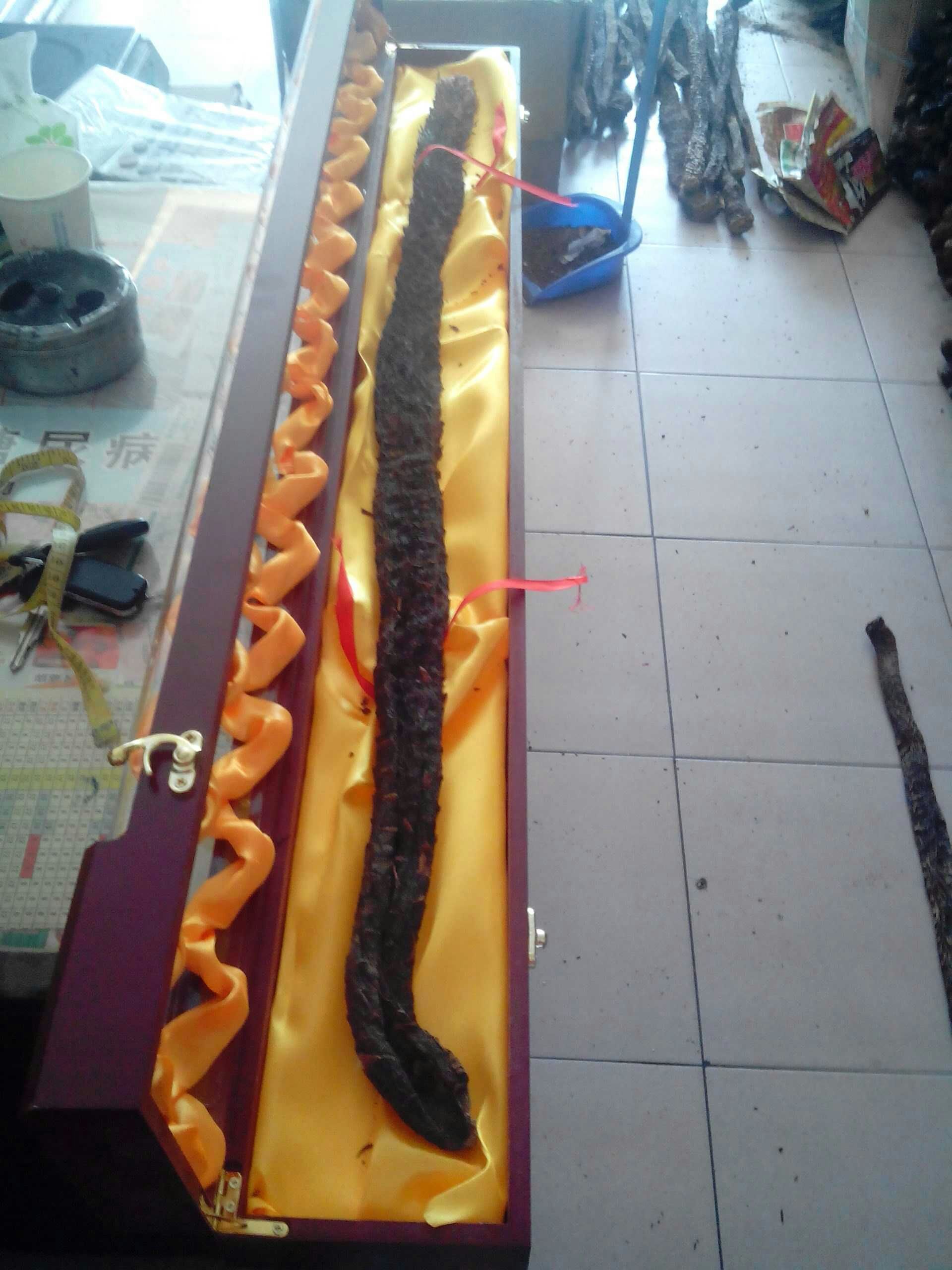 阿拉善肉苁蓉礼盒一米长苁蓉