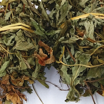 精选野生龙芽草正宗仙鹤草