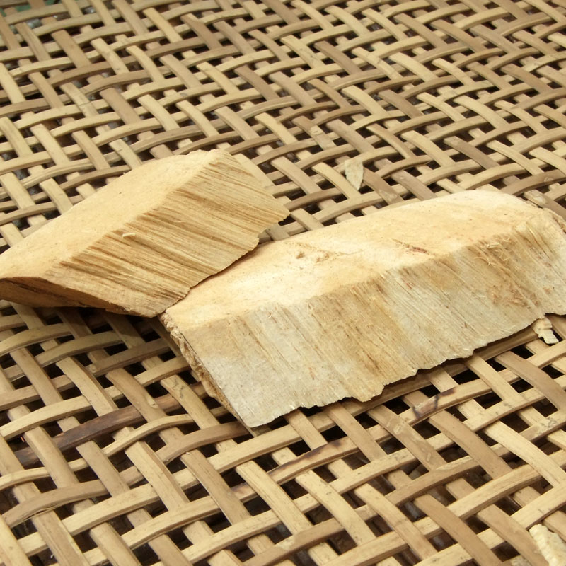 云南西双版纳大萝芙木