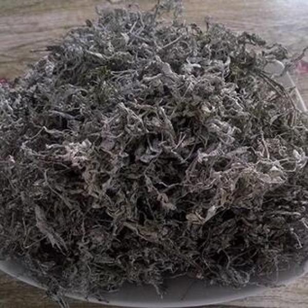 藤茶正宗广西巴马藤茶白茶莓茶