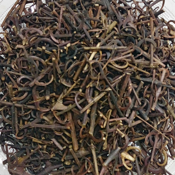 钩藤鹰爪风钩草刺勾藤