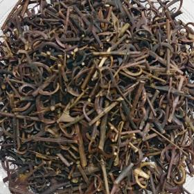 钩藤鹰爪风钩草刺勾藤