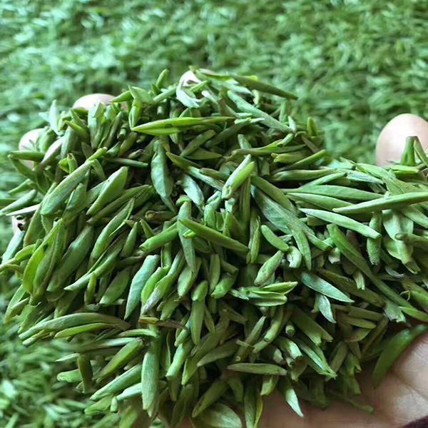 紫阳银针茶紫阳富硒毛尖茶