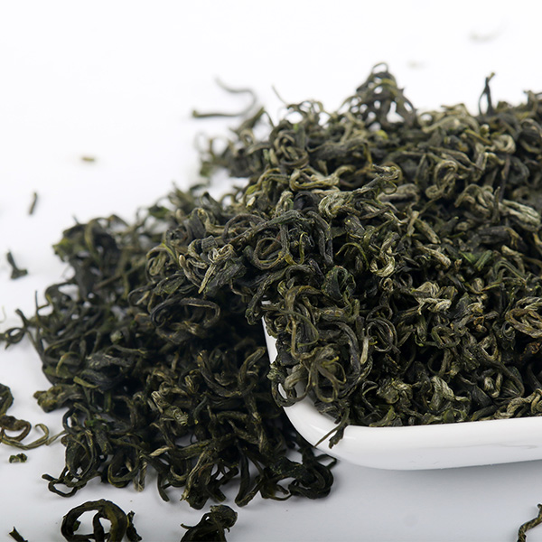 高山生态绿茶遵义毛峰