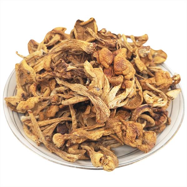 珍珠菇福建古田滑子菇