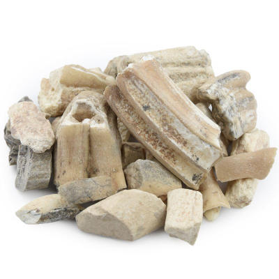 龙齿精选龙石齿粉龙齿石