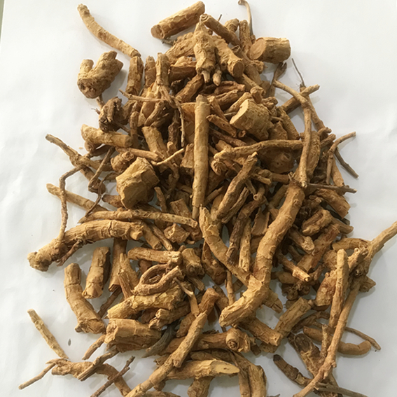 土沉香 驳骨消 过山香