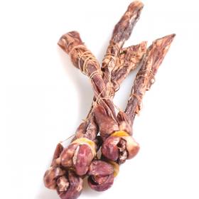 精选海狗鞭海狗肾海狗鞭