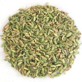 香料小茴香精选小茴香