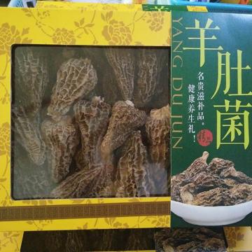 羊肚菌野生羊肚菌礼盒大羊肚菌