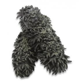 野生淡干海参澳洲海参干