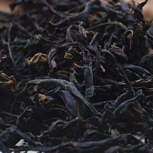 浓香单枞茶古山赤叶茶