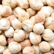 调味料白扣豆蔻白豆蔻