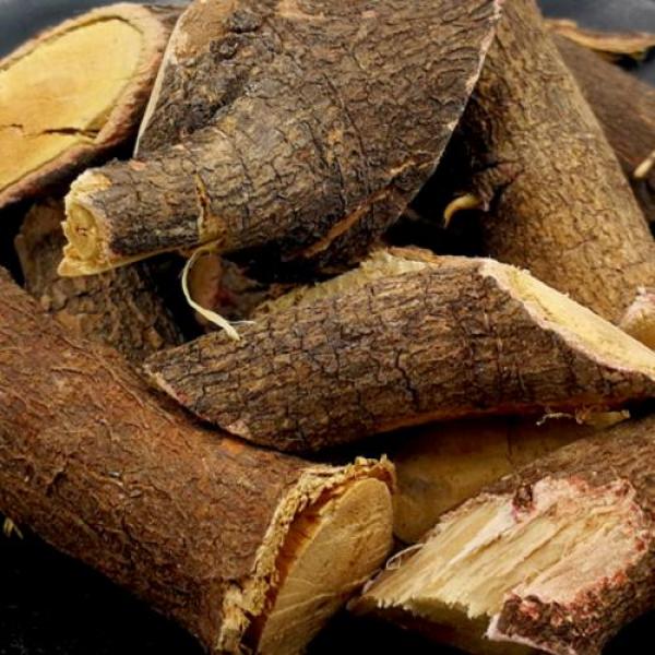 秦岭野生酸枣仁根老根