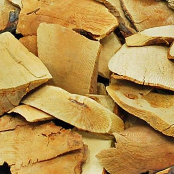 贵州刺梨根野生刺梨树根