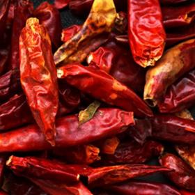 小尖椒干朝天椒七星椒