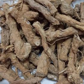 枸杞根枸杞子树头老根