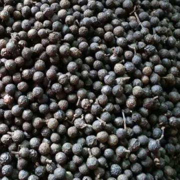 火锅调味料山胡椒木姜子