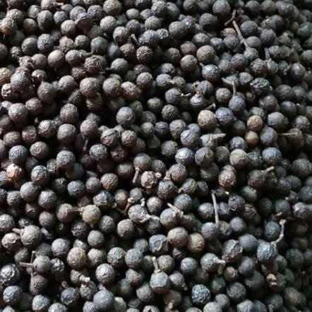 火锅调味料山胡椒木姜子