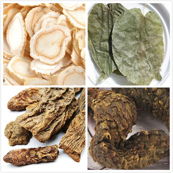 苁蓉锁阳仙灵脾西洋参