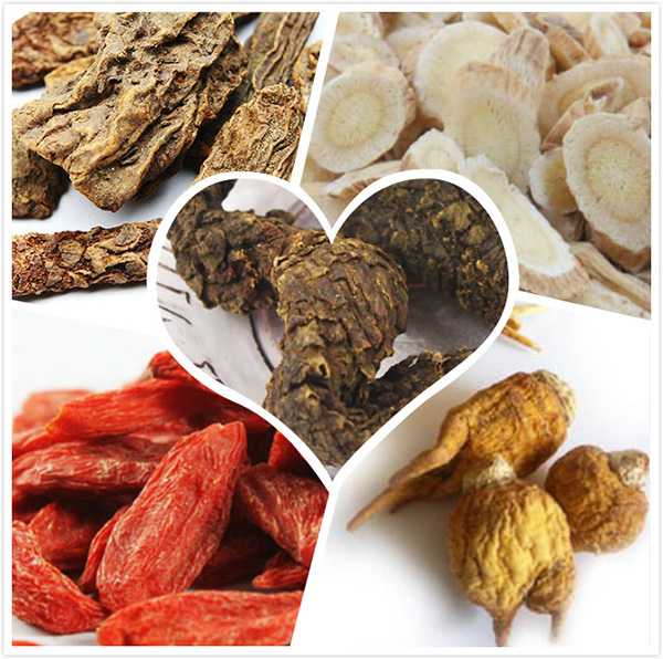 苁蓉玛咖锁阳黄芪枸杞