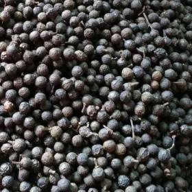 火锅调味料山胡椒木姜子